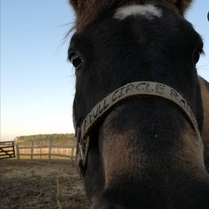 Meet your Posher, Madelyn